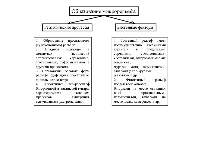 Образование микрорельефа Геологические процессы Биогенные факторы 1. Образование просадочного (суффозионного)