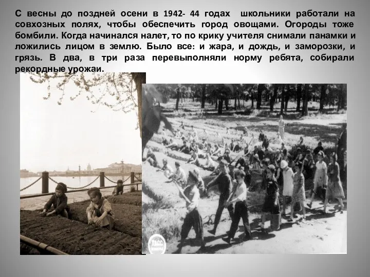 С весны до поздней осени в 1942- 44 годах школьники