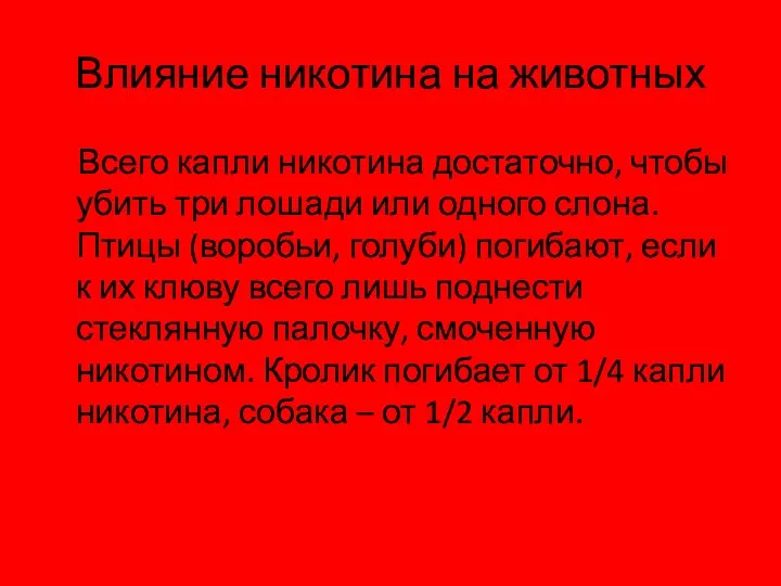 Влияние никотина на животных Всего капли никотина достаточно, чтобы убить три лошади или