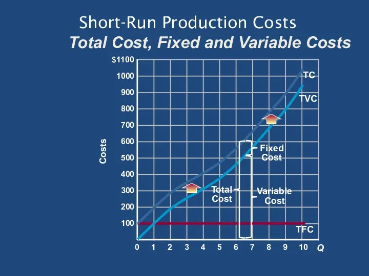 Short-Run Production Costs Total Cost, Fixed and Variable Costs TFC