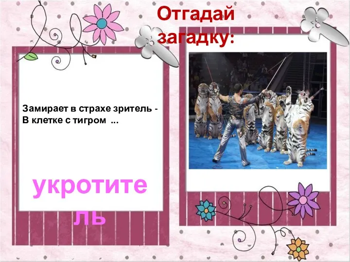 Отгадай загадку: Замирает в страхе зритель - В клетке с тигром ... укротитель