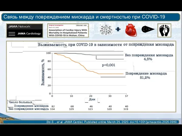 Связь между повреждением миокарда и смертностью при COVID-19 Shi S.