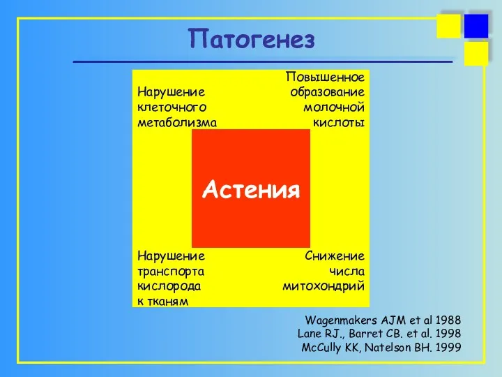 Патогенез Нарушение транспорта кислорода к тканям Снижение числа митохондрий Нарушение