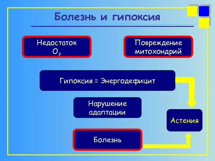 Болезнь и гипоксия Недостаток О2 Повреждение митохондрий Гипоксия = Энергодефицит Нарушение адаптации Болезнь Астения