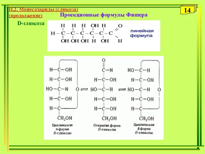 Проекционные формулы Фишера П.2. Моносахариды (глюкоза) (продолжение) 14 D-глюкоза