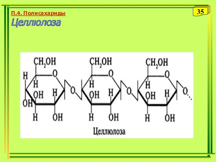 П.4. Полисахариды Целлюлоза 35