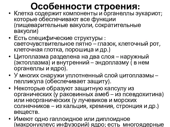 Особенности строения: Клетка содержит компоненты и органеллы эукариот; которые обеспечивают