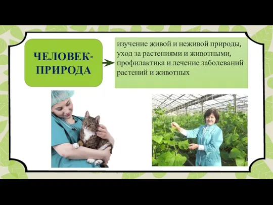 ЧЕЛОВЕК- ПРИРОДА изучение живой и неживой природы, уход за растениями