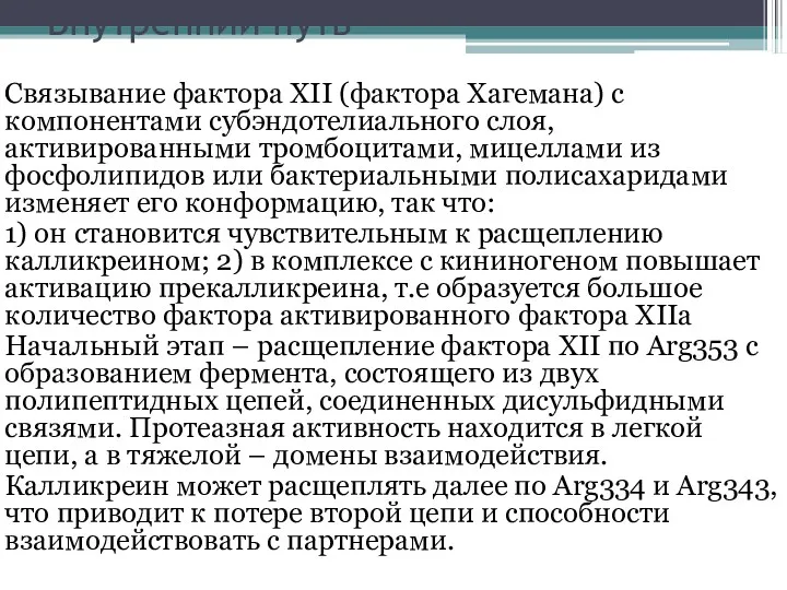 Внутренний путь Связывание фактора XII (фактора Хагемана) с компонентами субэндотелиального