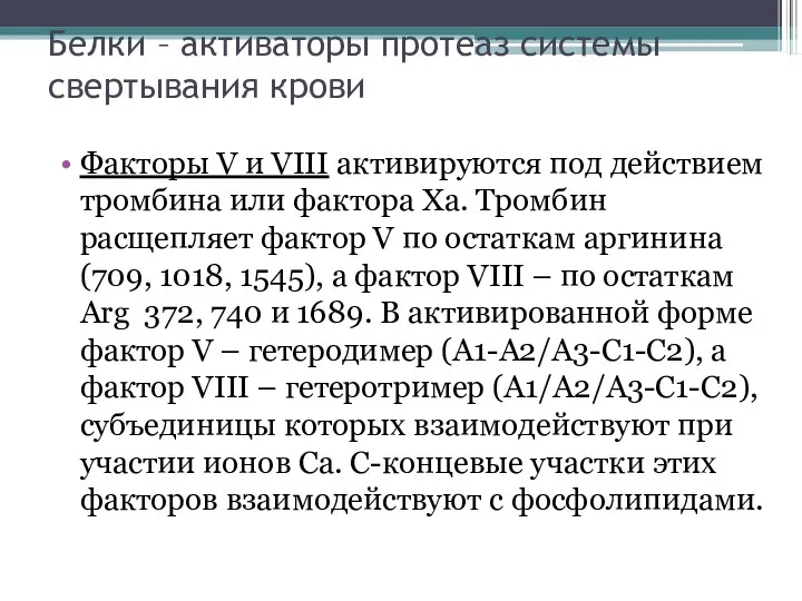 Белки – активаторы протеаз системы свертывания крови Факторы V и