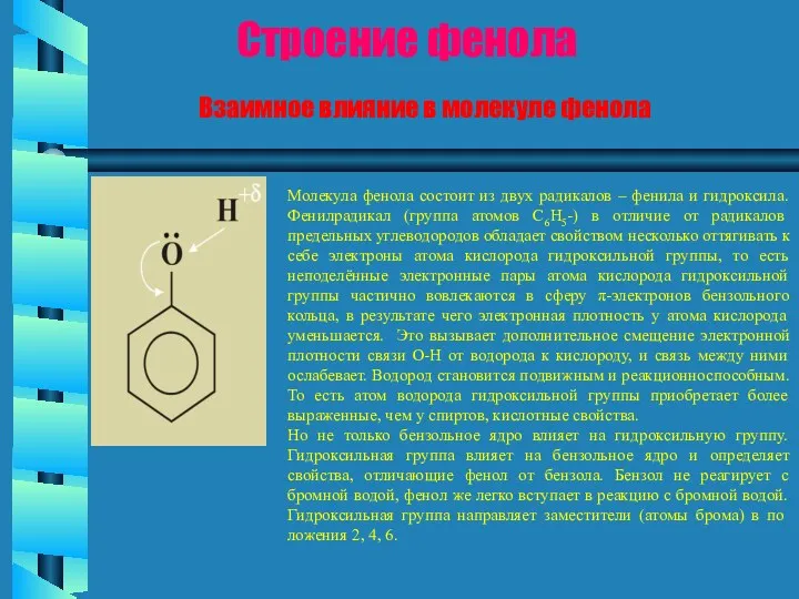 Молекула фенола состоит из двух радикалов – фенила и гидроксила.