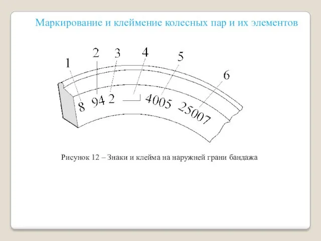 Рисунок 12 – Знаки и клейма на наружней грани бандажа