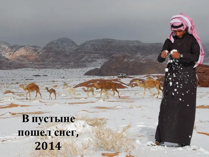В пустыне пошел снег, 2014 Гудинова Ж.В.