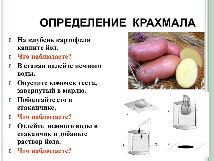 ОПРЕДЕЛЕНИЕ КРАХМАЛА На клубень картофеля капните йод. Что наблюдаете? В стакан налейте немного