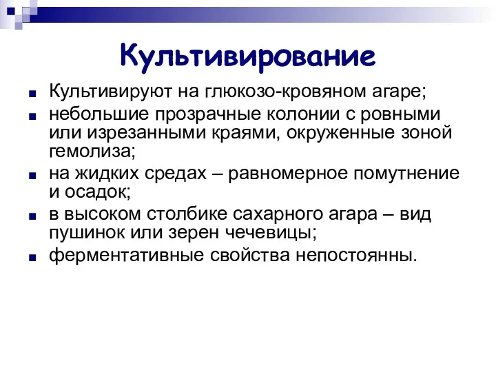 Культивирование Культивируют на глюкозо-кровяном агаре; небольшие прозрачные колонии с ровными