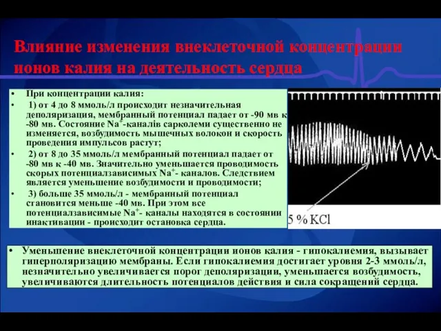 Влияние изменения внеклеточной концентрации ионов калия на деятельность сердца При