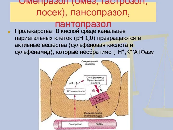 Омепразол (омез, гастрозол, лосек), лансопразол, пантопразол Пролекарства: В кислой среде