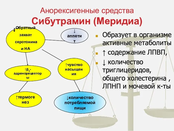 Анорексигенные средства Сибутрамин (Меридиа) Образует в организме активные метаболиты ↑