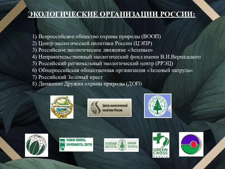 ЭКОЛОГИЧЕСКИЕ ОРГАНИЗАЦИИ РОССИИ: 1) Всероссийское общество охраны природы (ВООП) 2) Центр экологической политики