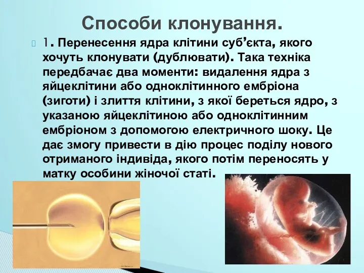 1. Перенесення ядра клітини суб’єкта, якого хочуть клонувати (дублювати). Така