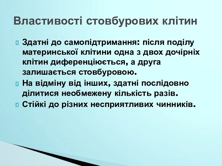 Здатні до самопідтримання: після поділу материнської клітини одна з двох