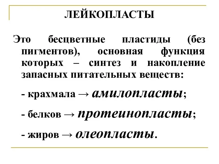 ЛЕЙКОПЛАСТЫ Это бесцветные пластиды (без пигментов), основная функция которых –