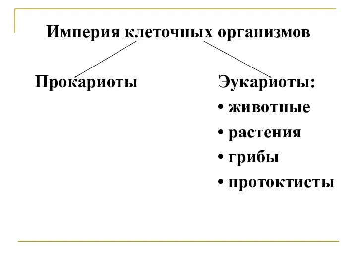 Империя клеточных организмов Прокариоты Эукариоты: • животные • растения • грибы • протоктисты