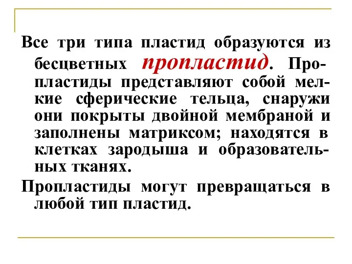 Все три типа пластид образуются из бесцветных пропластид. Про- пластиды