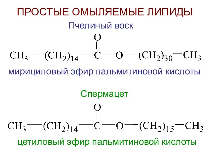 ПРОСТЫЕ ОМЫЛЯЕМЫЕ ЛИПИДЫ Пчелиный воск мирициловый эфир пальмитиновой кислоты Спермацет цетиловый эфир пальмитиновой кислоты