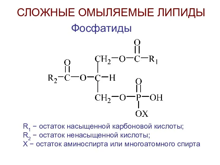 СЛОЖНЫЕ ОМЫЛЯЕМЫЕ ЛИПИДЫ Фосфатиды R1 − остаток насыщенной карбоновой кислоты;