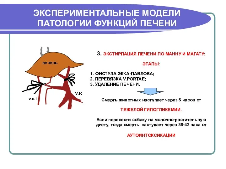 ЭКСПЕРИМЕНТАЛЬНЫЕ МОДЕЛИ ПАТОЛОГИИ ФУНКЦИЙ ПЕЧЕНИ 3. ЭКСТИРПАЦИЯ ПЕЧЕНИ ПО МАННУ