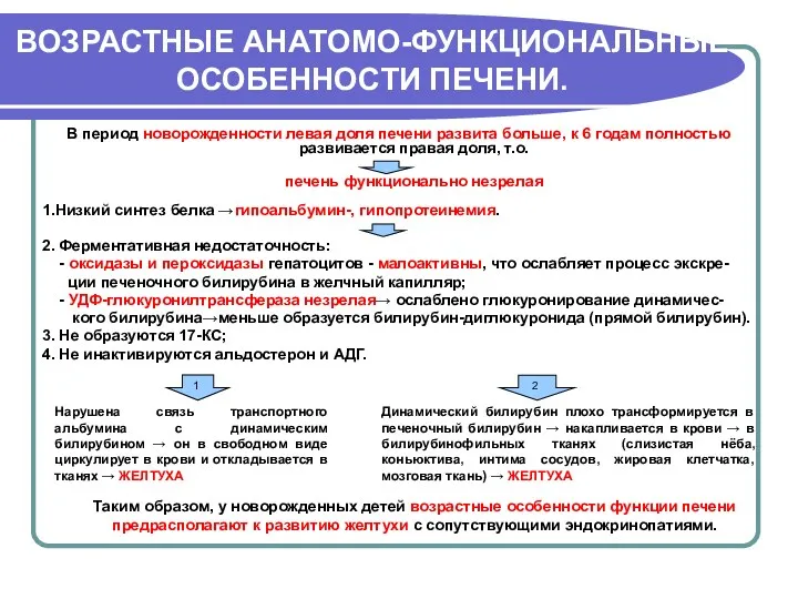 ВОЗРАСТНЫЕ АНАТОМО-ФУНКЦИОНАЛЬНЫЕ ОСОБЕННОСТИ ПЕЧЕНИ. В период новорожденности левая доля печени