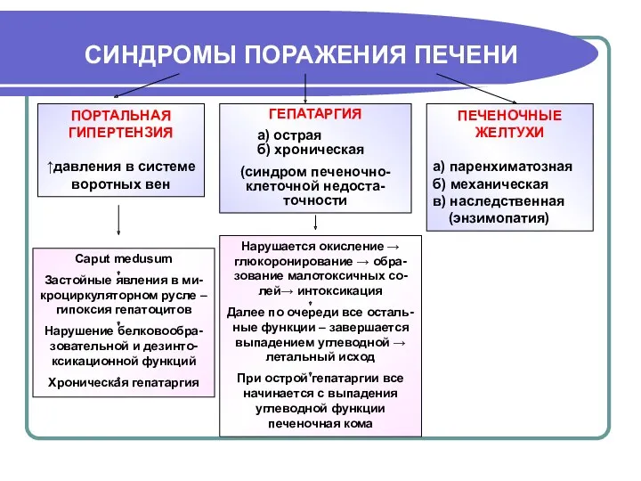 СИНДРОМЫ ПОРАЖЕНИЯ ПЕЧЕНИ