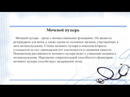 Мочевой пузырь Мочевой пузырь - орган с множественными функциями. Он