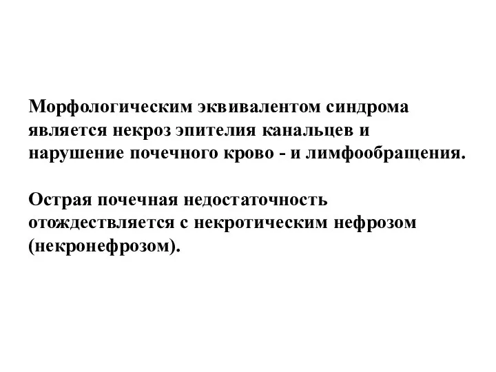 Морфологическим эквивалентом синдрома является некроз эпителия канальцев и нарушение почечного