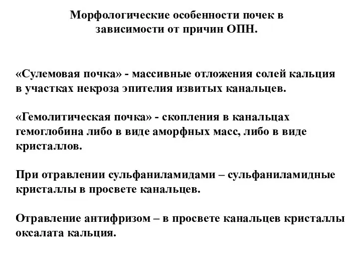 Морфологические особенности почек в зависимости от причин ОПН. «Сулемовая почка»