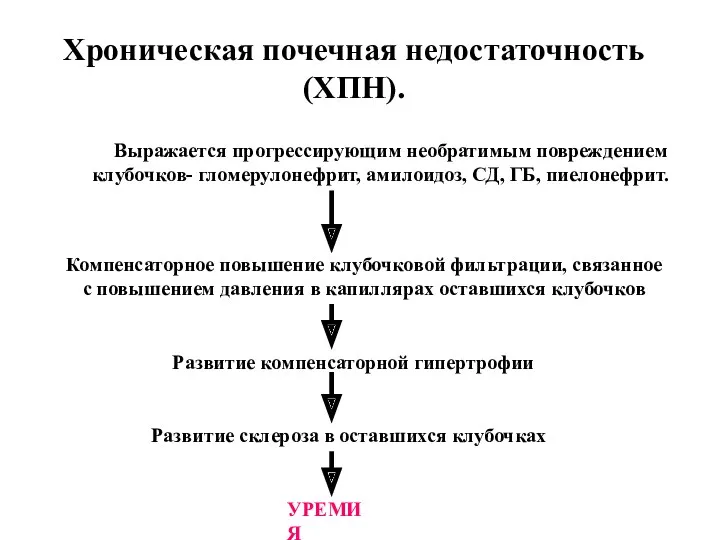 Хроническая почечная недостаточность (ХПН). Выражается прогрессирующим необратимым повреждением клубочков- гломерулонефрит,