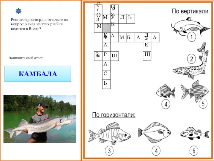 Решите кроссворд и ответьте на вопрос: какая из этих рыб