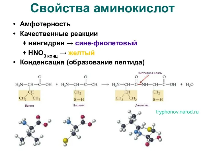 Свойства аминокислот Амфотерность Качественные реакции + нингидрин → сине-фиолетовый +
