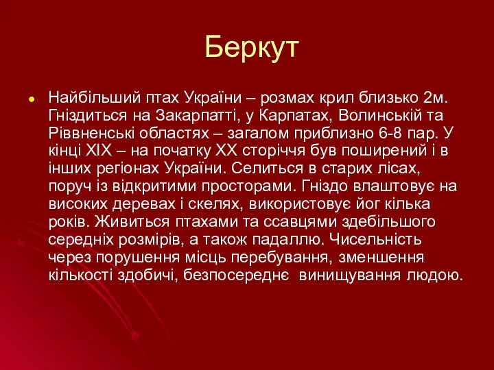 Беркут Найбільший птах України – розмах крил близько 2м. Гніздиться