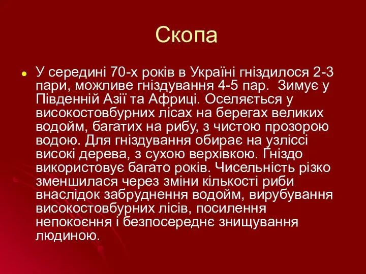 Скопа У середині 70-х років в Україні гніздилося 2-3 пари,