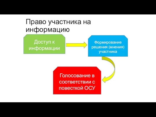 Право участника на информацию Доступ к информации Формирование решения (мнения)