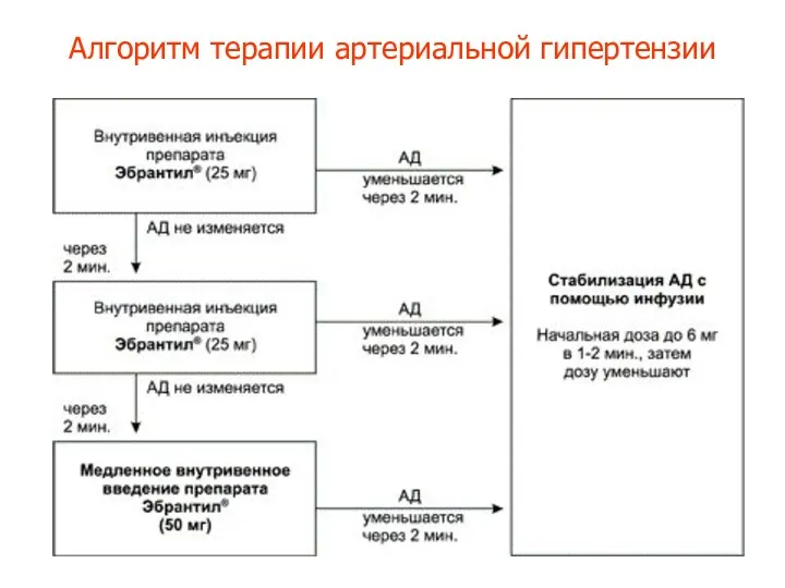 Алгоритм терапии артериальной гипертензии