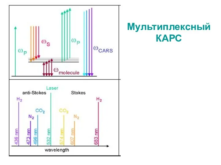 Мультиплексный КАРС