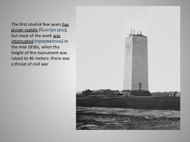 The first obelisk few years has grown rapidly (быстро рос),