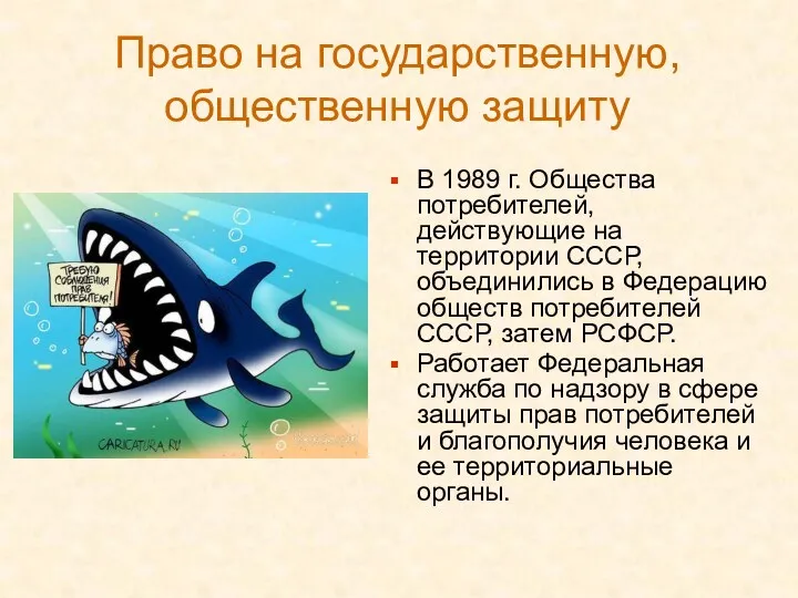 Право на государственную, общественную защиту В 1989 г. Общества потребителей,