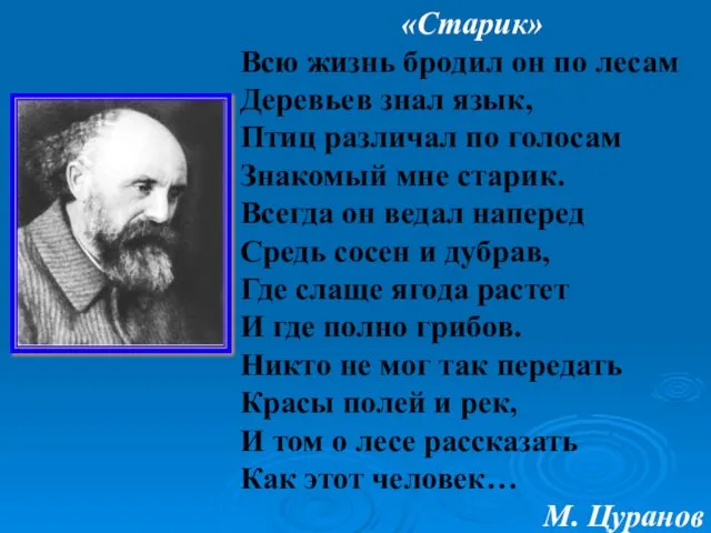 «Старик» Всю жизнь бродил он по лесам Деревьев знал язык,