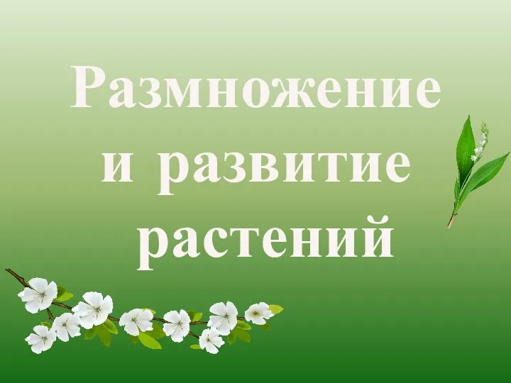 Размножение и развитие растений