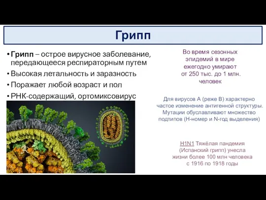 Грипп Во время сезонных эпидемий в мире ежегодно умирают от