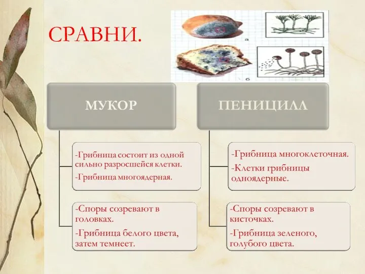 СРАВНИ.